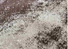 Covor MAGNOLIA 097 d.beige/red oval
