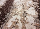 Covor MAGNOLIA 165 beige