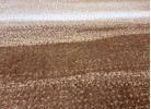 Covor MAGNOLIA 194 beige