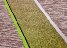 Covor tip mochetă ERIKA 8012 beige/green