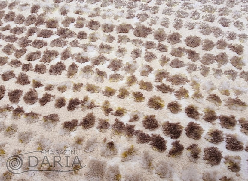 Covor ALLEGRA 8024 beige