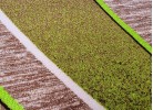Covor tip mochetă ERIKA 8012 beige/green oval