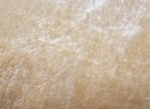 Covoare tip mocheta RELAX 5008 dark beige rotund