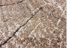 Covor MAGNOLIA 259 beige
