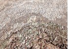 Covor SUPERSOFT 622 beige/taupe