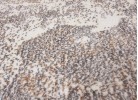 Covor SUPERSOFT 622 beige/taupe
