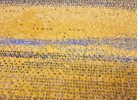 Covor MAGNOLIA 194 a.grey/yellow