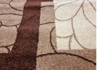 Covor MAGNOLIA 711 d.brown/cream
