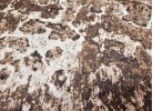 Covor tip mochetă REGAL 7012 d.beige