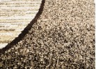 Covor MAGNOLIA 388 beige oval
