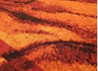 Covor mocheta 89 orange
