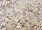 Traversă ALLEGRA 920 beige