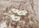 Traversă ALLEGRA 920 beige