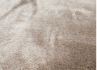 Covoare tip mocheta RELAX 5005 brown