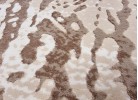 Covor ALLEGRA 8978 beige