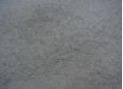 Covor SHAGGY s057 white