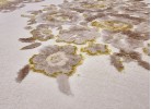 Covor ALLEGRA 5960 beige