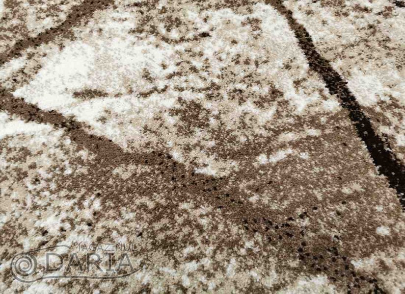 Covor MAGNOLIA 563 cream/brown oval