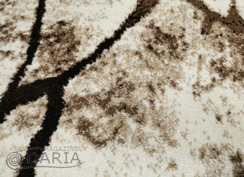 Covor MAGNOLIA 563 cream/brown oval