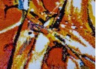 Covor MAGNOLIA 156 orange