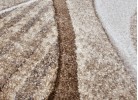 Covor GRACIA 232 beige/white