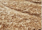 Covor 3D SHAGGY GRANDE 323 camel