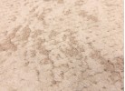 Traversă KAVITA 723 cream/beige