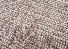 Covor FLORLUX 20613 taupe